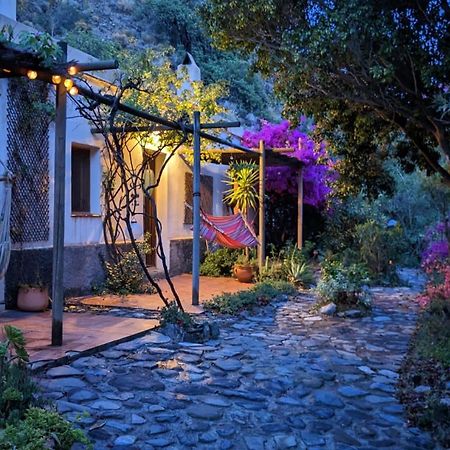 Cortijo Jamaica - Off Grid Paradise - Costa Tropical Los Diaz  Exterior foto